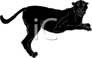 Big Cat Clipart