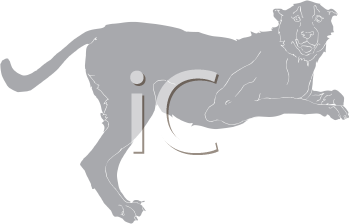 Big Cat Clipart