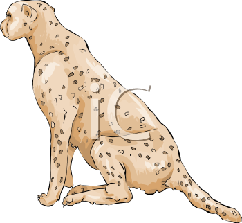 Big Cat Clipart