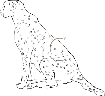 Big Cat Clipart