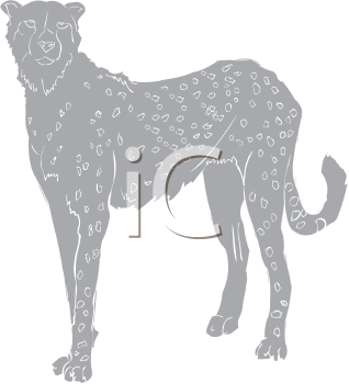 Big Cat Clipart