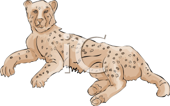 Big Cat Clipart