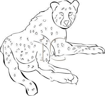 Big Cat Clipart