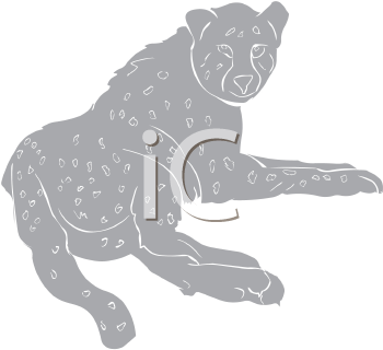 Big Cat Clipart