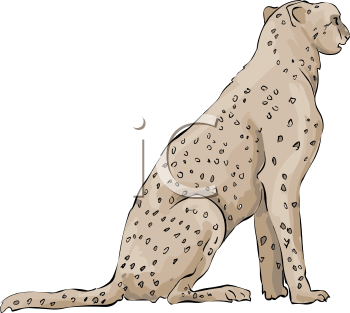 Big Cat Clipart