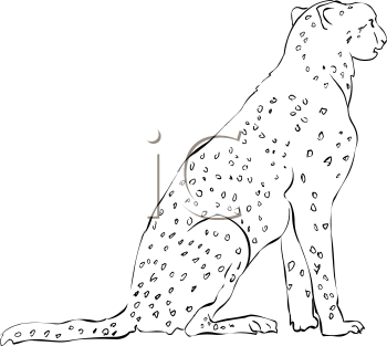 Big Cat Clipart