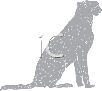 Big Cat Clipart