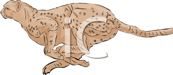 Big Cat Clipart