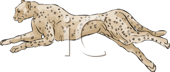 Big Cat Clipart