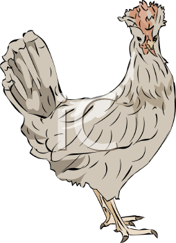 Farm Animal Clipart