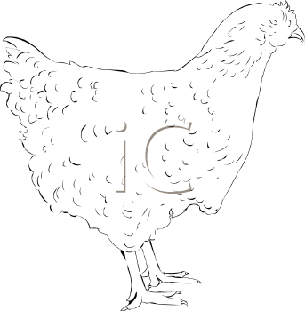 Farm Animal Clipart