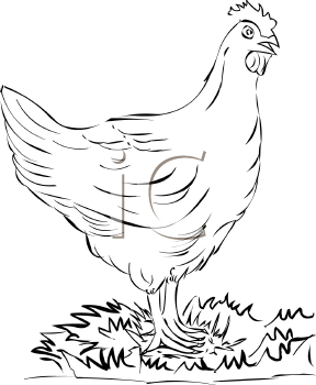 Farm Animal Clipart