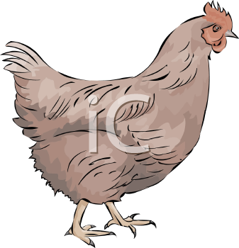 Farm Animal Clipart