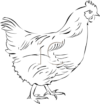 Farm Animal Clipart