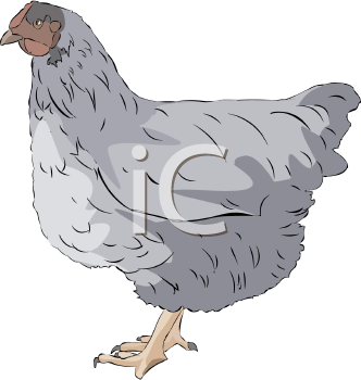 Farm Animal Clipart