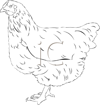 Farm Animal Clipart