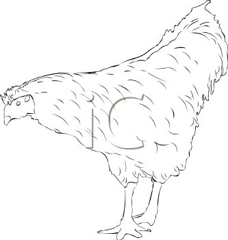 Farm Animal Clipart