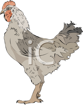 Farm Animal Clipart