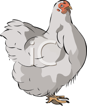 Farm Animal Clipart