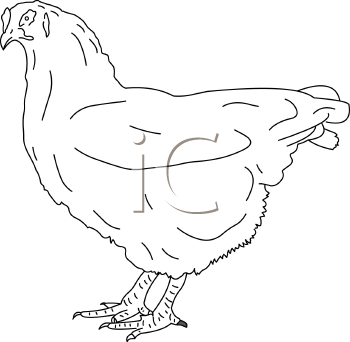 Farm Animal Clipart