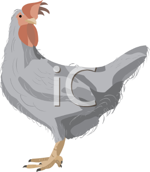 Farm Animal Clipart