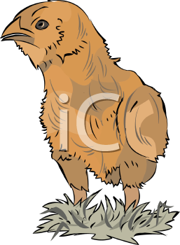 Farm Animal Clipart