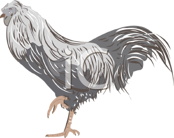 Farm Animal Clipart