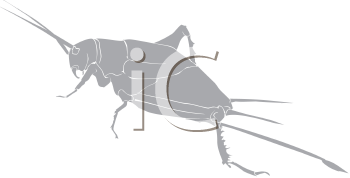 free download clipart insect cricket