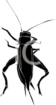 Insect Clipart