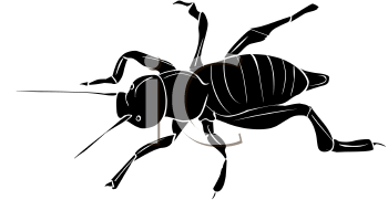 Insect Clipart