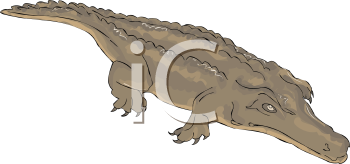 Reptile Clipart