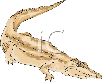 Reptile Clipart