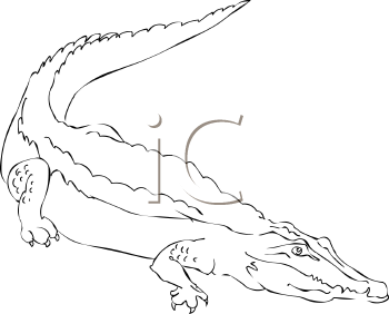 Reptile Clipart