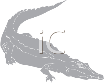 Reptile Clipart