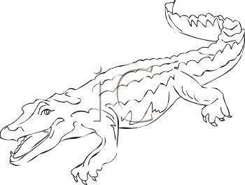 Reptile Clipart