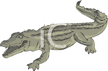 Reptile Clipart