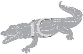 Reptile Clipart