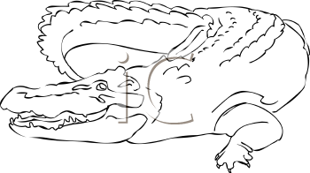 Reptile Clipart