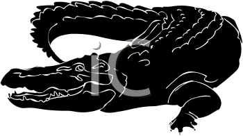 Reptile Clipart