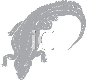 Reptile Clipart