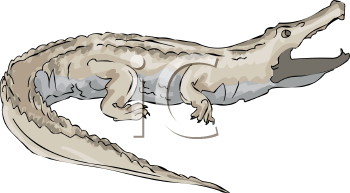 Reptile Clipart