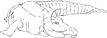 Reptile Clipart