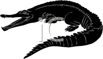 Reptile Clipart