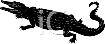 Reptile Clipart