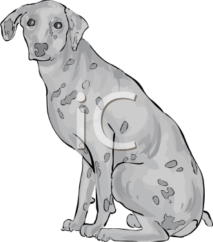 Pet Clipart