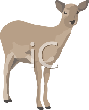 Deer Clipart