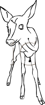 Deer Clipart