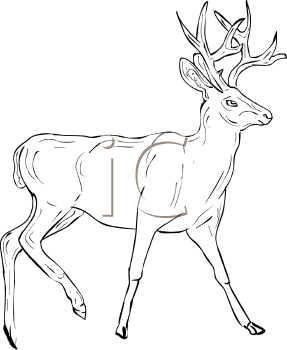 Deer Clipart