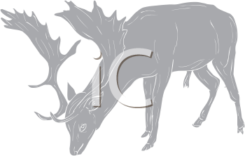 Deer Clipart