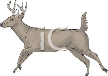 Deer Clipart